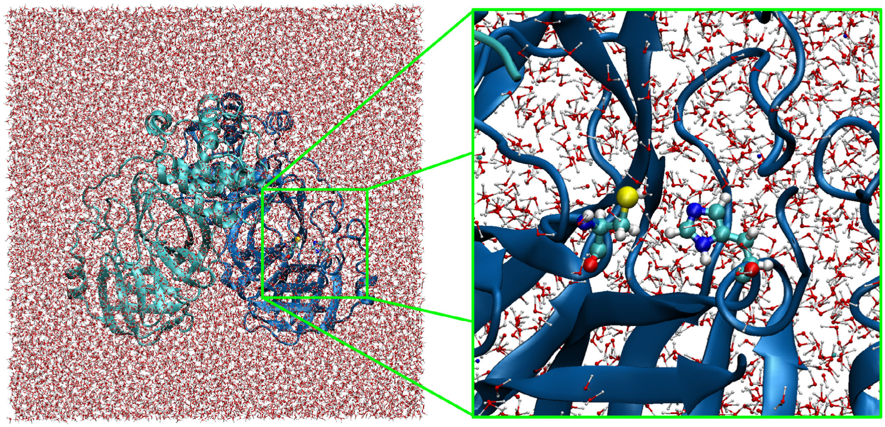 FIGURE 1