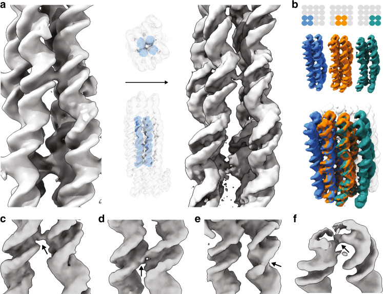 Fig. 4