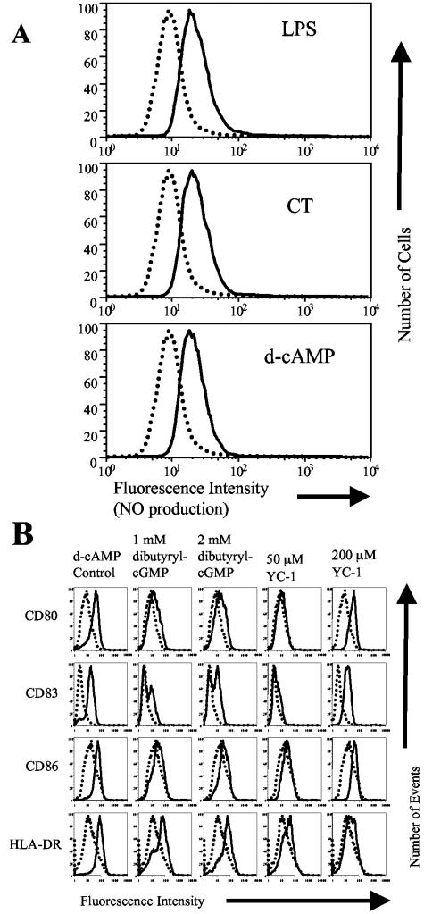 FIG. 5.