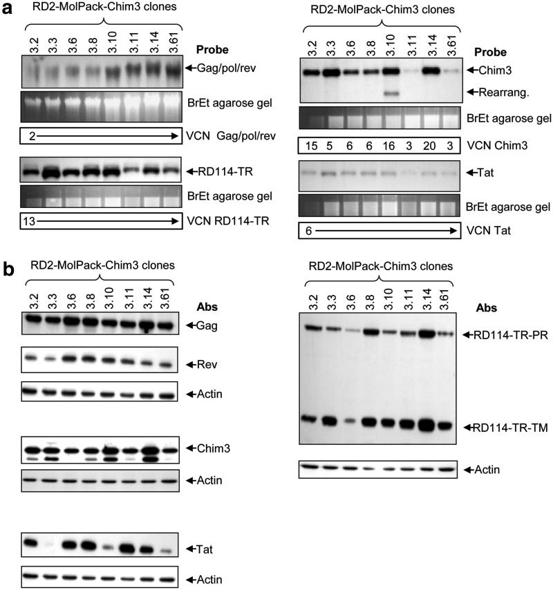 FIG. 3.