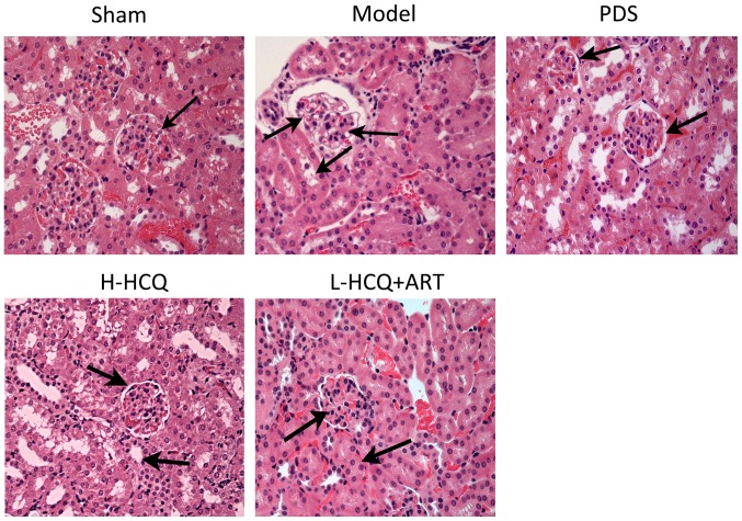 Figure 6.