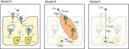 Fig. 2