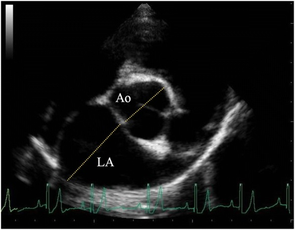 Fig. 2