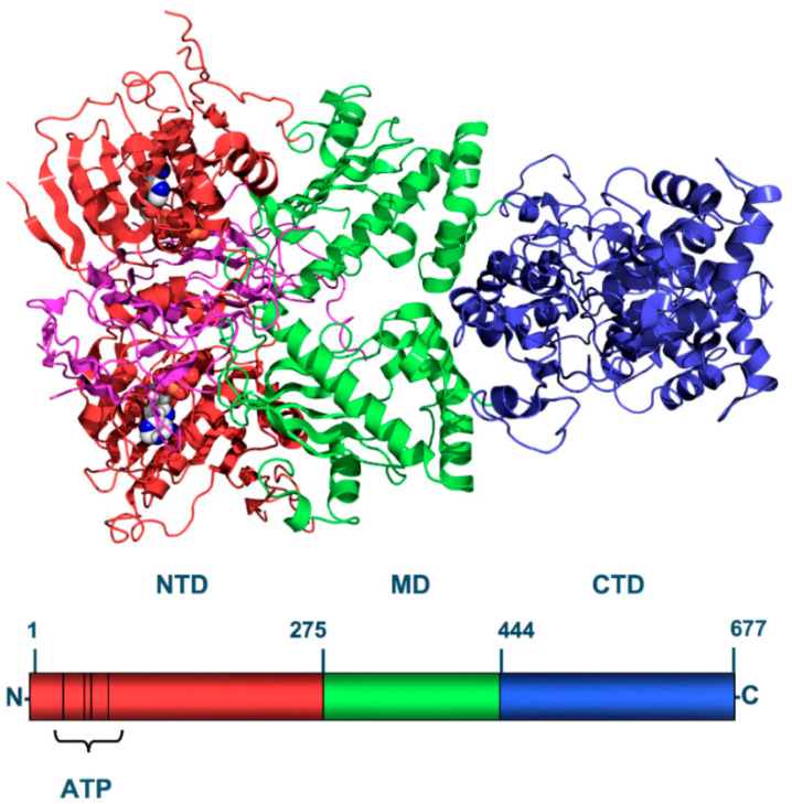 Figure 2