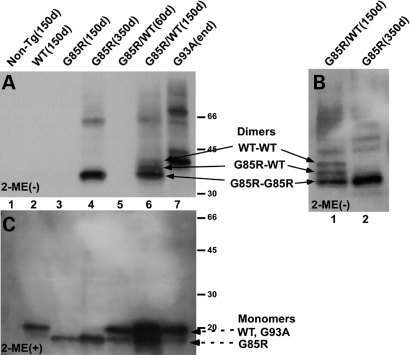 Figure 4.