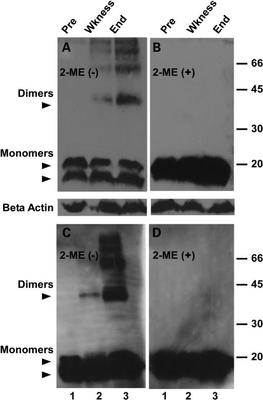 Figure 6.