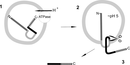 FIG. 6.