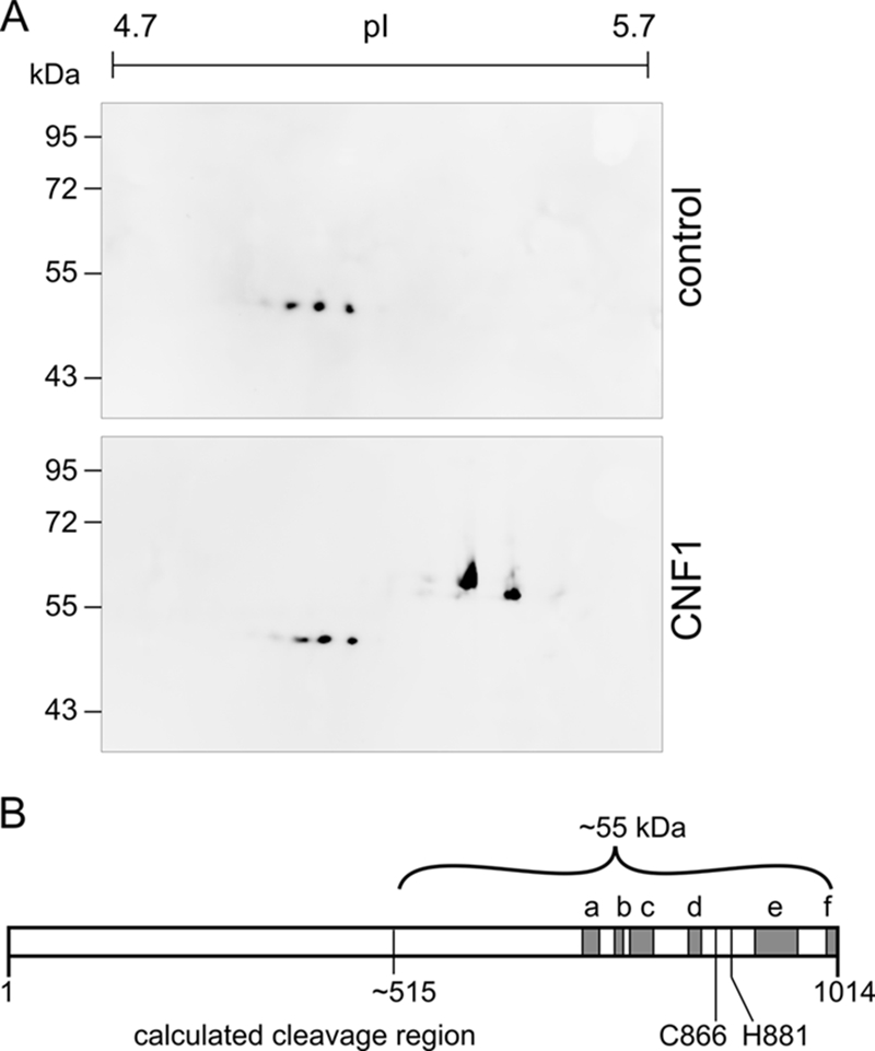 FIG. 3.