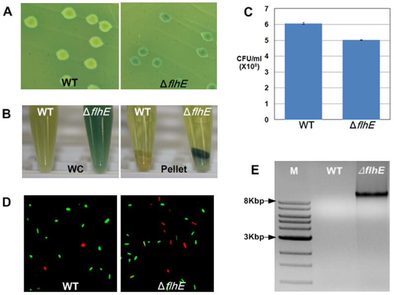 Fig. 3