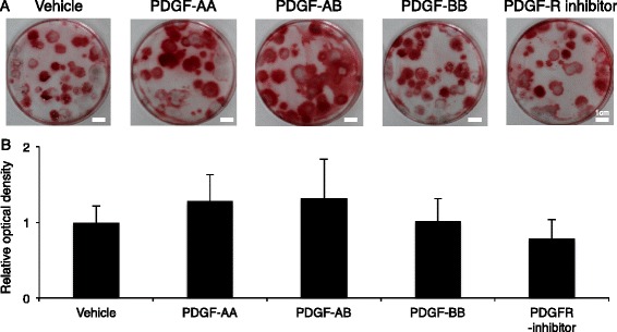 Fig. 9