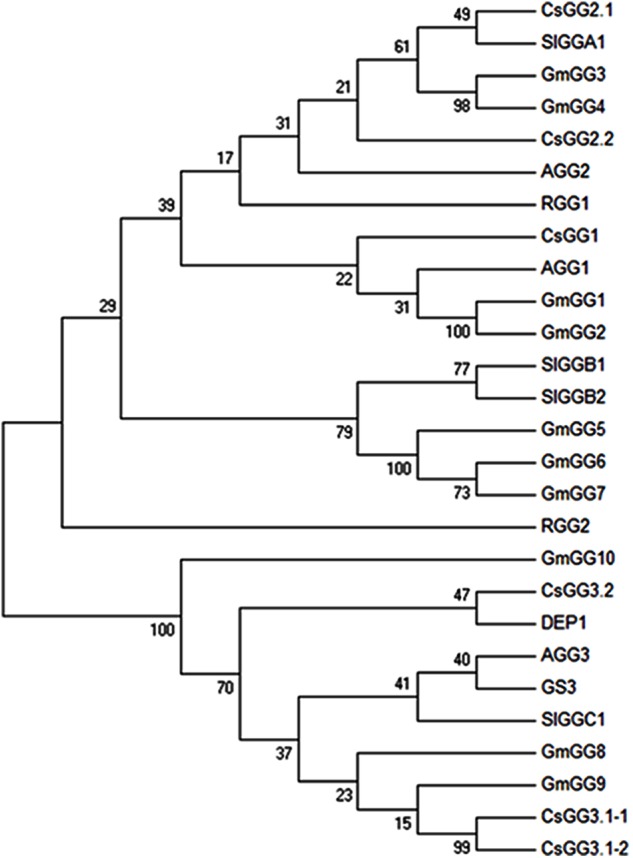 FIGURE 2