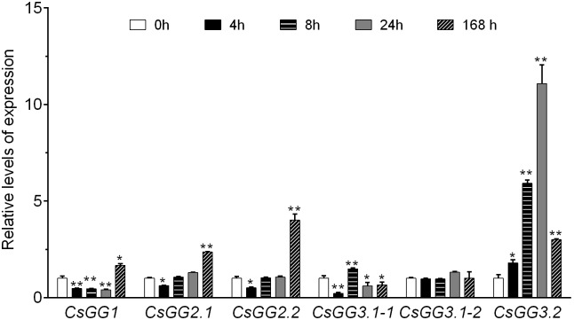 FIGURE 3