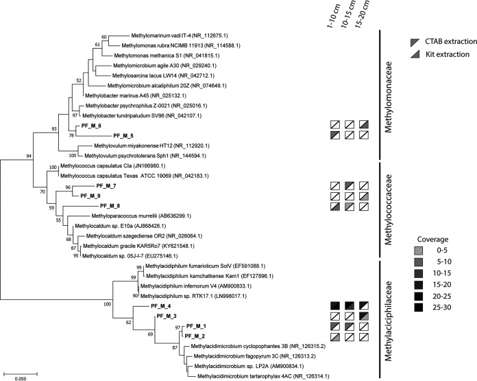 FIG 2