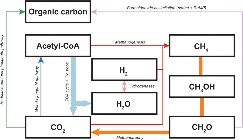 FIG 3