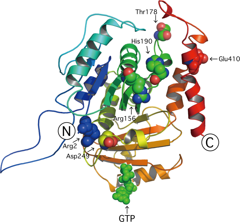 Fig. 1