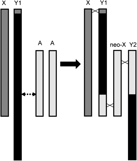 Figure 2.—