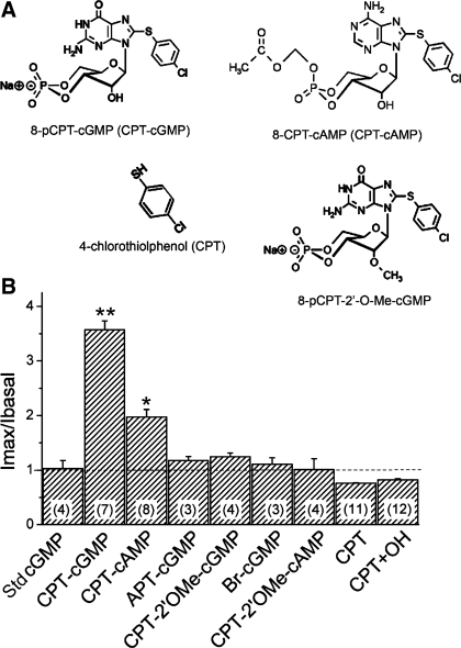 Fig. 8.