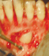 Fig. 2C
