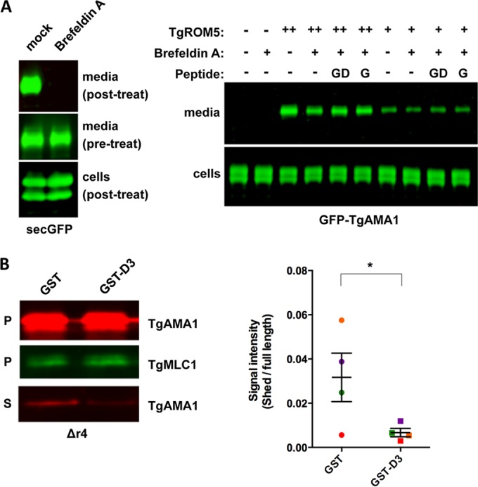 FIG 3 