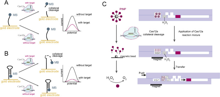 Fig. 10