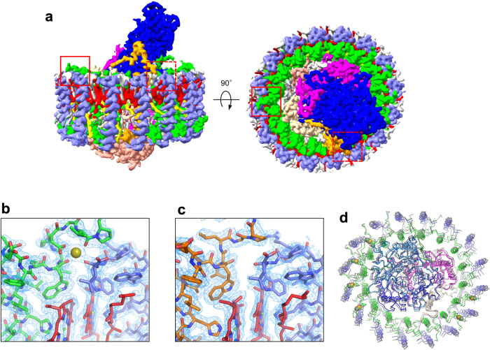 Fig. 1