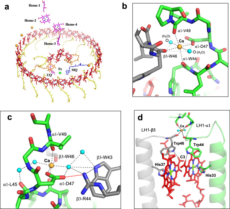 Fig. 3