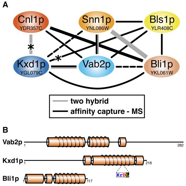 Fig 4