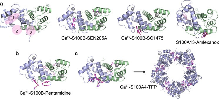 Fig. 3