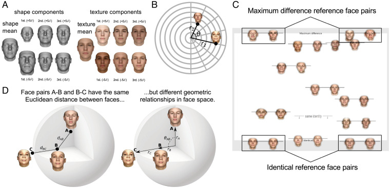 Fig. 1.