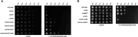 Fig 9