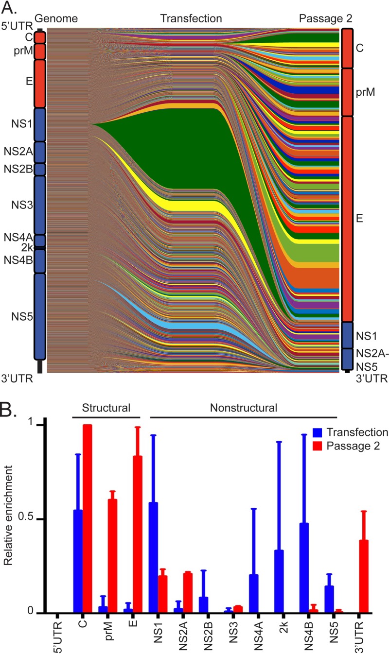 FIG 3