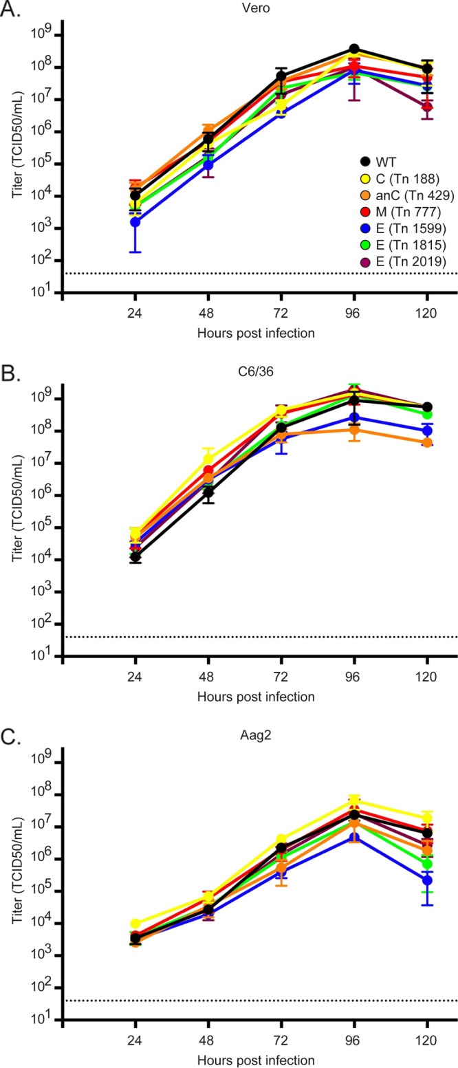 FIG 4