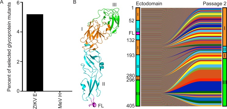 FIG 6