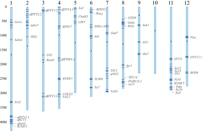 Fig. 12