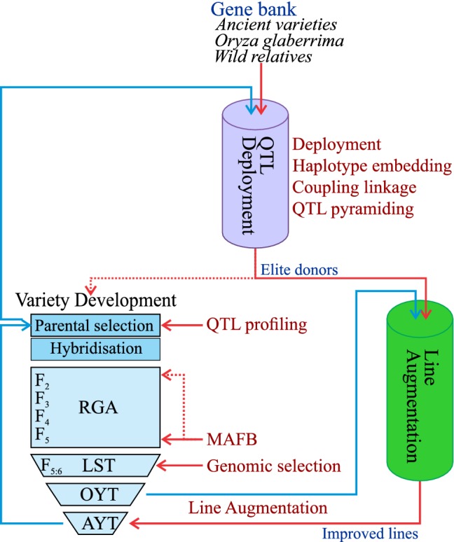 Fig. 6