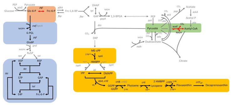 Figure 10