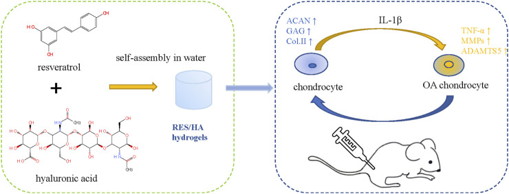 FIGURE 2