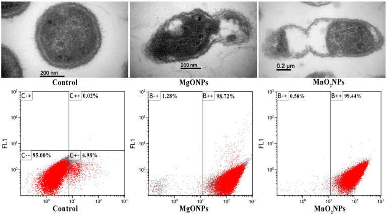 Figure 6