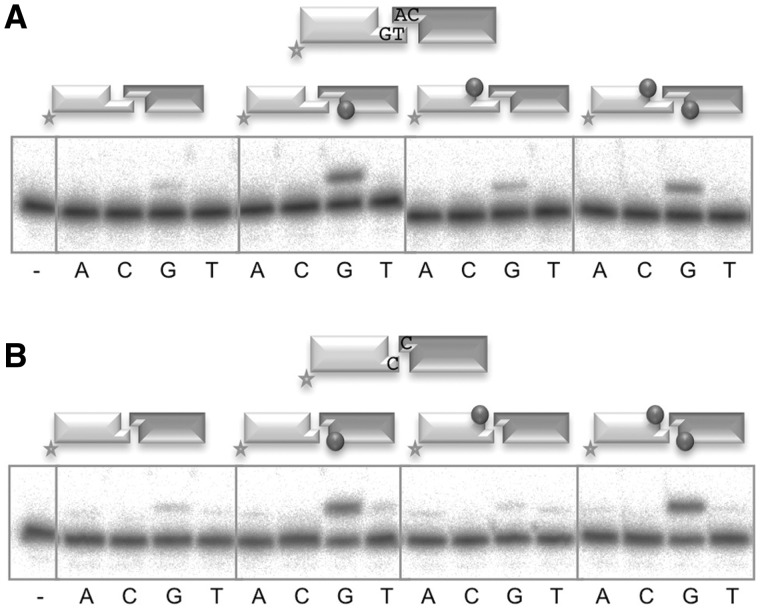 Figure 5.