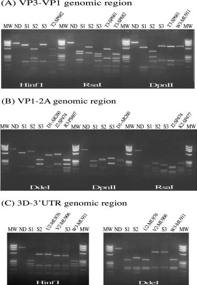 FIG. 1.