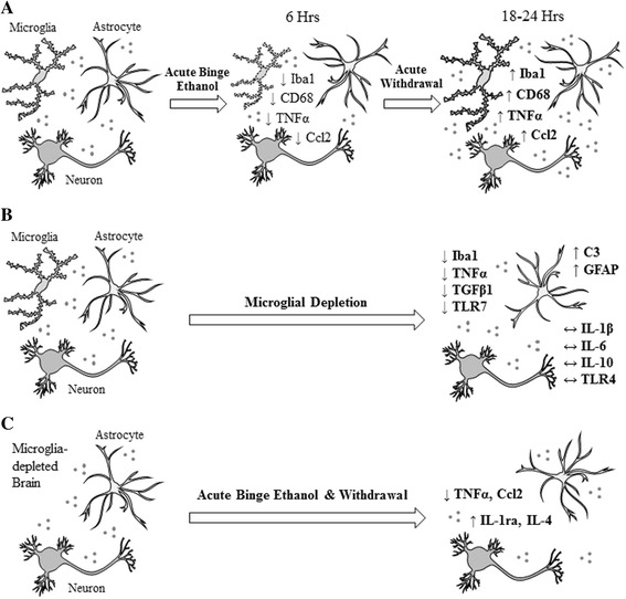 Fig. 8