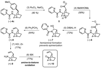 Scheme 2