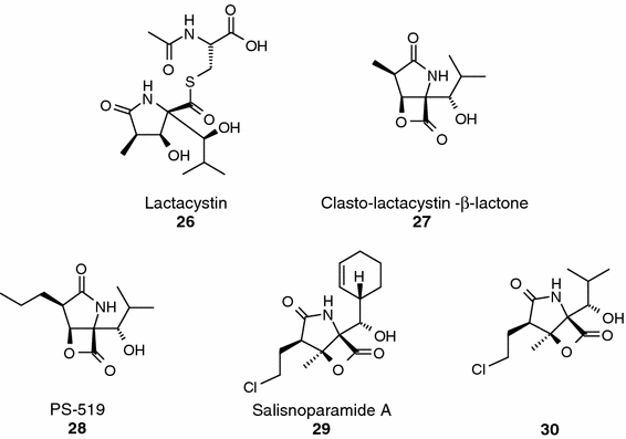 Fig. 7.