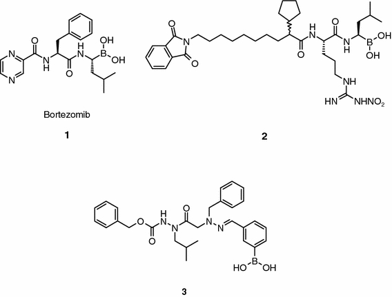 Fig. 1.