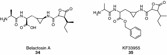 Fig. 9.