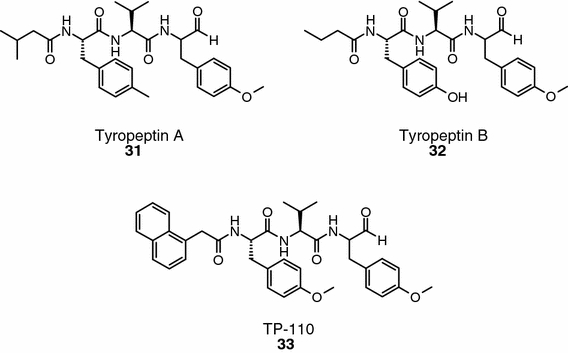 Fig. 8.