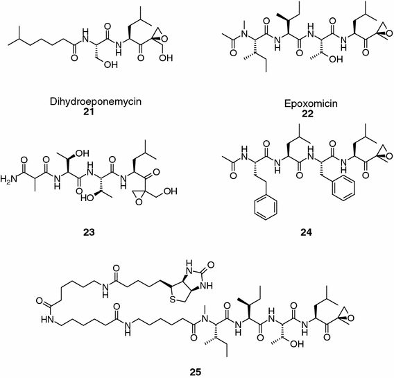 Fig. 6.