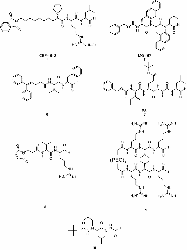 Fig. 2.