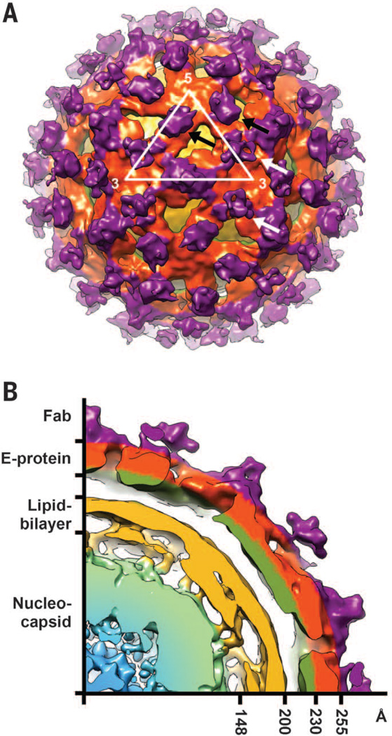 Fig. 4