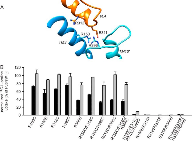 FIGURE 4.